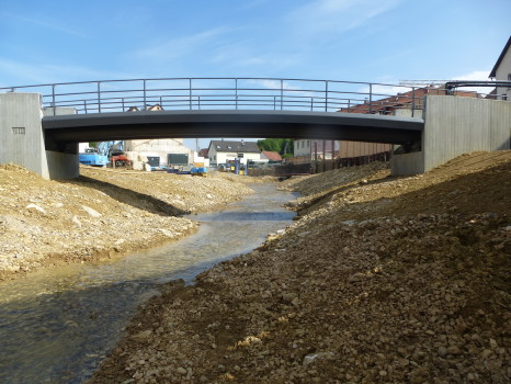 Steinachdurchstich