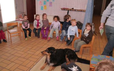 Keine Angst vor großen Tieren