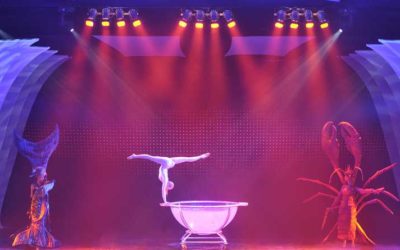 Dirk Denzer Performing Arts zieht positives Fazit für 2009