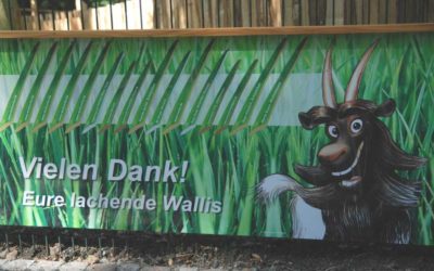 Lachendes Wallis-Fest am 25. Juli im Wildpark