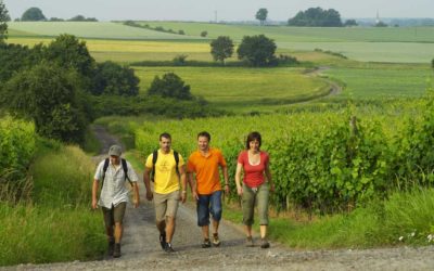 Wandern im Schweinfurter Land