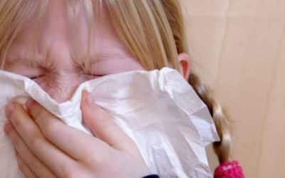 Wie stärke ich mein Immunsystem?