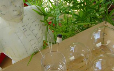 Infotag: Kopfschmerz und Migräne