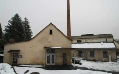 Altlastensanierung setzt Schonungen unter Zeitdruck