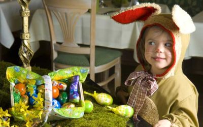 Zwei Esel helfen bei der Ostereiersuche