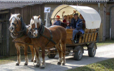 Hetzloser „Nistkasten Rallye“