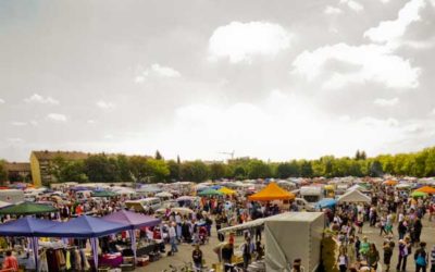 Countdown für den Rotkreuzflohmarkt 2012 hat begonnen