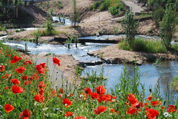 Mit dem Schiff zur Landesgartenschau nach Bamberg