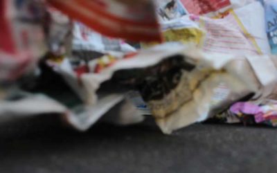 Banane und Sojabohne – Hochmoderner Kartoffeldruck