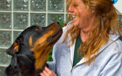 Das Tierheim – Manchmal nur Zwischenstation