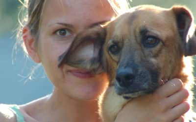 Mobile Tierarztpraxis für Bad Kissingen und die Rhön