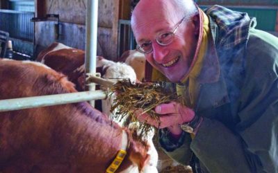 Beratung gibt es vom Fachzentrum Rinderhaltung beim AELF, dem Amt für Ernährung, Landwirtschaft und Forsten in Schweinfurt