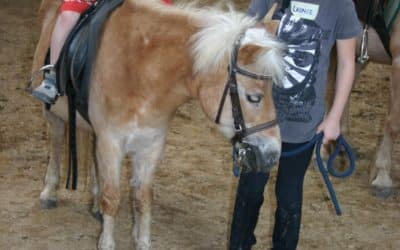 Landratsamt Schweinfurt organisierte für 16 Pflegekinder einen Aktionstag auf der Seufert-Ranch