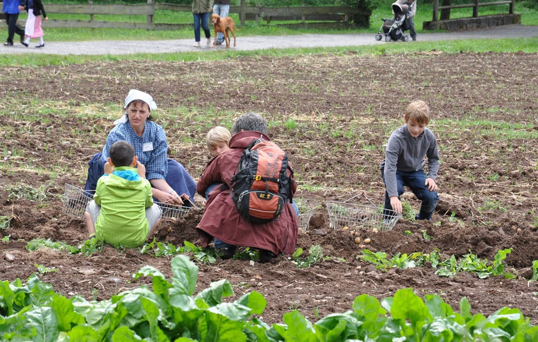 Das Museumsfest in Fladungen dreht sich diesmal rund ums Holz