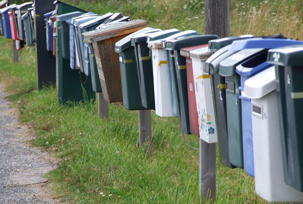 Neu beim Revista Verlag: Die Digitalbeilage