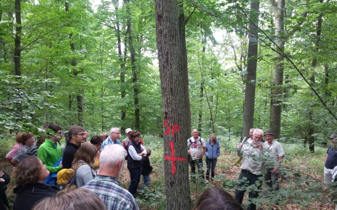 Schonunger Bürgerwaldtag im Zeichen der Nachhaltigkeit