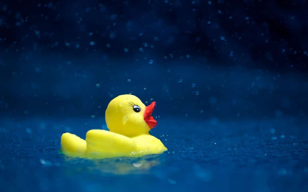 Das Gerolzhöfer Schwimmbad Geomaris macht wieder auf