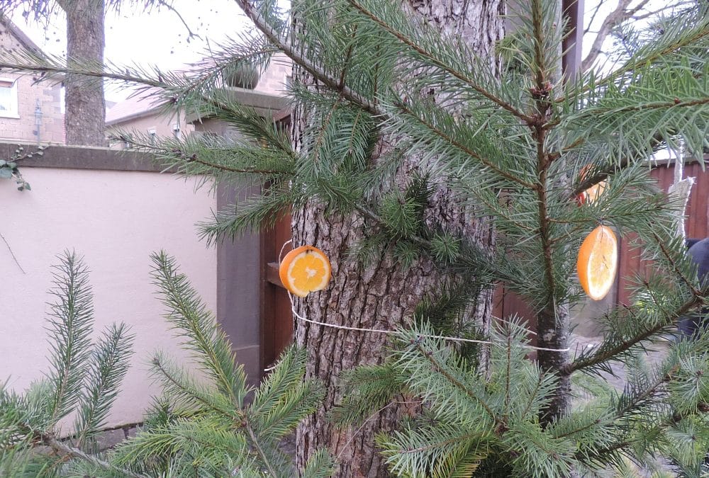 Weihnachtsmarkt im Zehnthof Bergrheinfeld