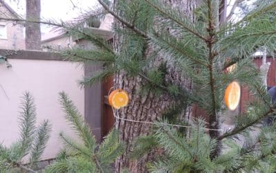 Weihnachtsmarkt im Zehnthof Bergrheinfeld