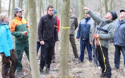 Waldbewirtschaftung im Zeichen der Nachhaltigkeit