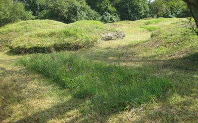 Landschaftspflegemaßnahmen der Unteren Naturschutzbehörde im Jahr 2014