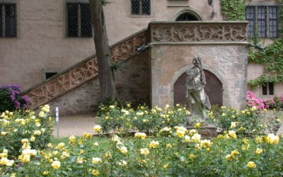 Schloss Aschach: Yoga im Schlosspark