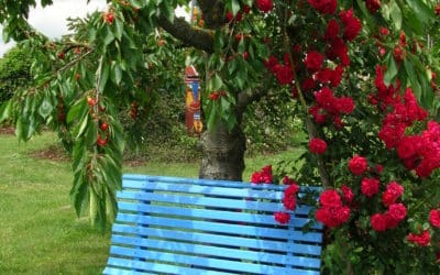 Lust auf den Start in die Gartensaison – Kostenloses Tagesseminar