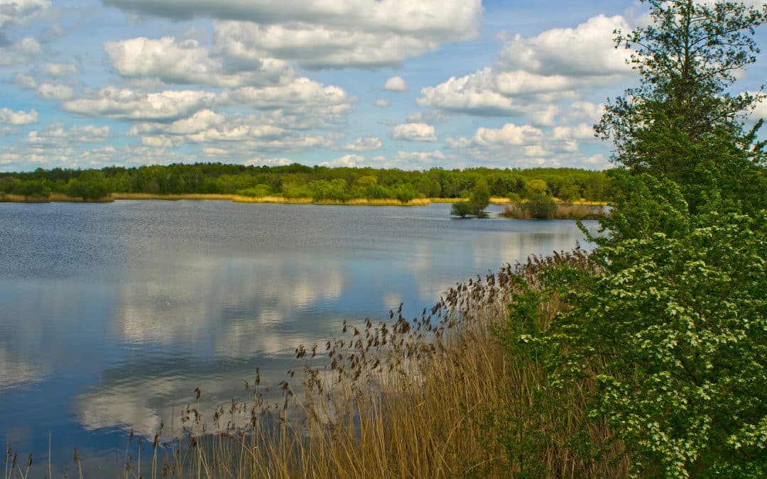Der Sauerstücksee mit der Hirtenbachaue