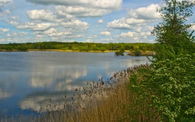 Der Sauerstücksee mit der Hirtenbachaue