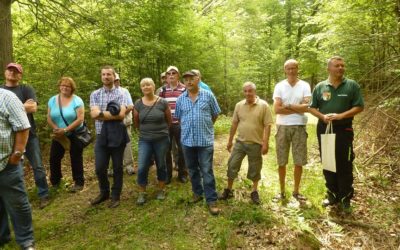 Seltene Ein- und Ausblicke beim Schonunger Bürgerwaldtag