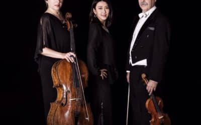 New Cologne Piano Trio gastiert im Barockschloss