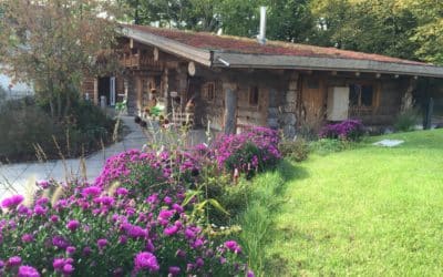 Wieder regelmäßige Aufgüsse in der Geomaris-Sauna