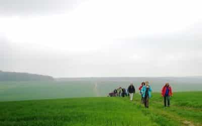 Sternwandertag Schweinfurter OberLand zum Ausklang der Wandersaison
