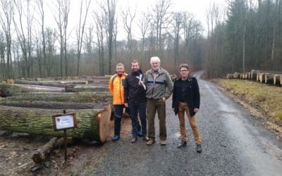 Großgemeinde Schonungen gehört zu den größten Anbietern von Edelholz
