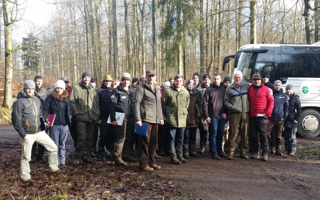 Professoren und Studenten schätzen Schonungens Laubwälder