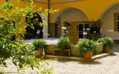 Schlossführungen durch das barocke Landschloss Zeilitzheim im Mai