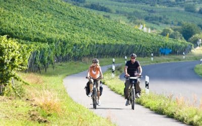 Mit dem E-bike auf Entdeckungstour im Schweinfurter Land