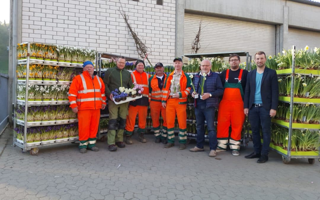Frühlingserwachen in der Großgemeinde Schonungen