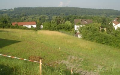 Neubaugebiet Forster Weg wird erweitert