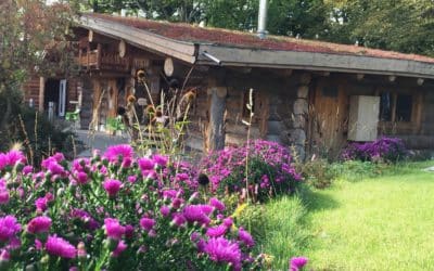 Wieder regelmäßige Aufgüsse in der Geomaris-Sauna