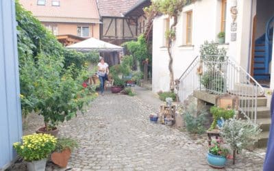 Schnackenwerth setzt sich im Wettbewerb „Unser Dorf hat Zukunft“ durch