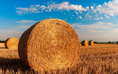 Strohballen ein Raub der Flammen – Kripo ermittelt – Zeugen gesucht