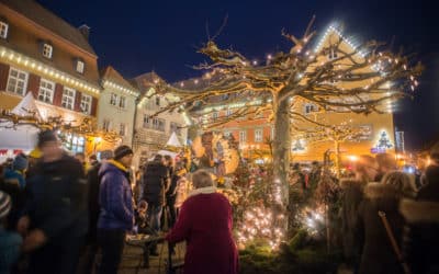 Kulinarischer Adventsmarkt in Gerolzhofen – winterliche Gaumenfreuden genießen