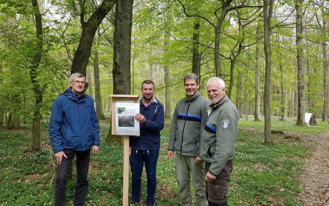 Schonungen startet besonderes Naturschutzprojekt