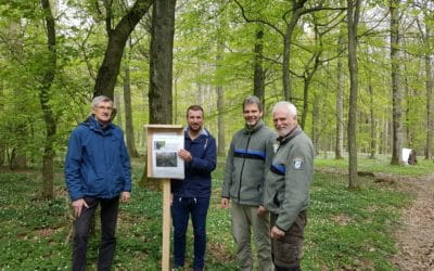 Schonungen startet besonderes Naturschutzprojekt