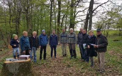 Waldkindergartenprojekt macht große Fortschritte