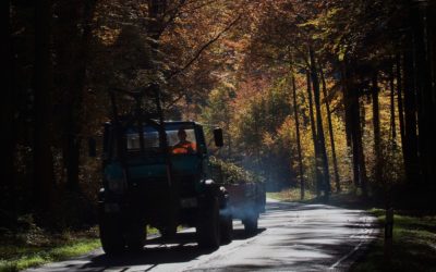 Diesel-Fahrverbote sind existenzbedrohend