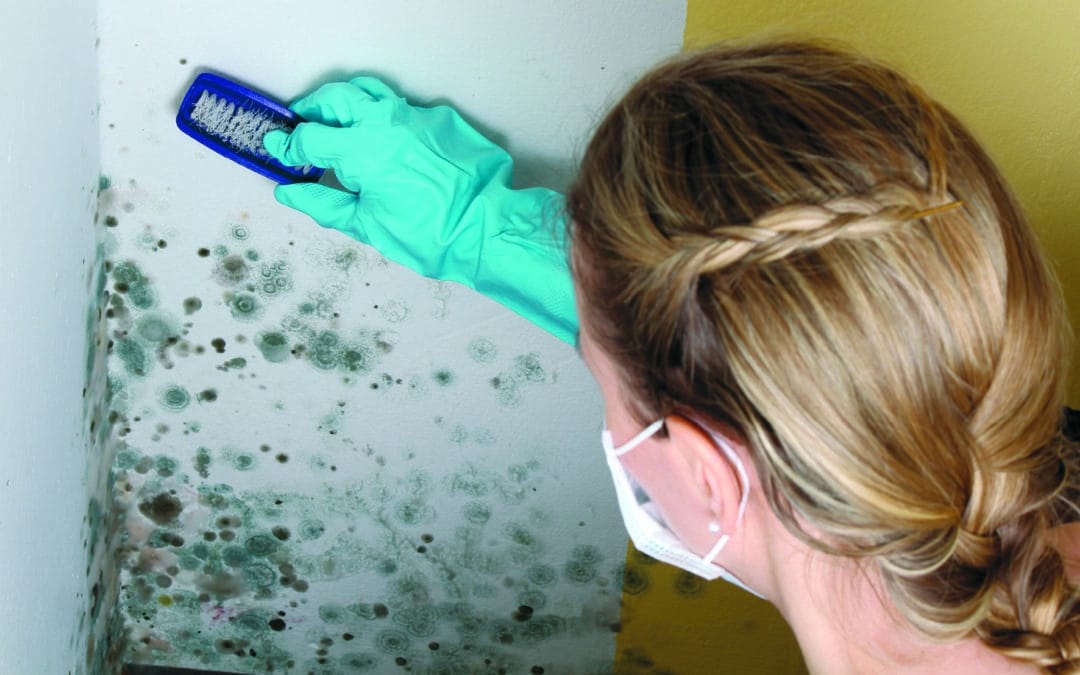 Tipps gegen Schimmel