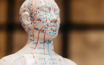 Chinesische Medizin zum Anfassen