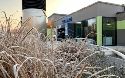 5 Jahre Geomaris – Erneuter Zuwachs bei den Besucherzahlen